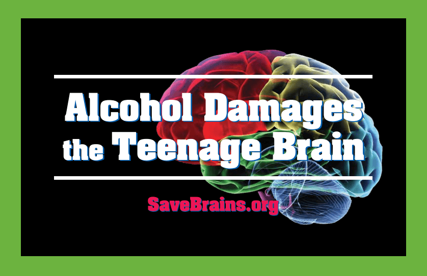 brain on alcohol poster